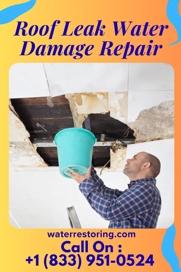 Roof Leak Water Damage Repair in Wilson, KS